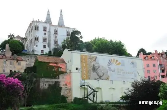 Prirodoslovni muzej Sintra