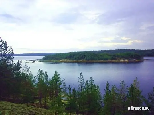 Isla de los ciervos del sur