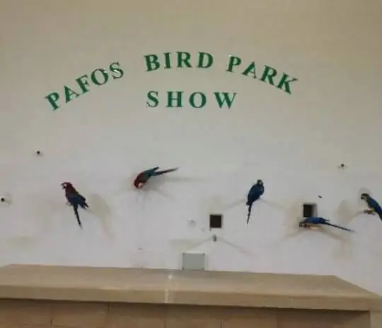 Paphos Bird and Animal Park