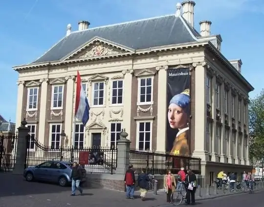 Muzej umjetnosti Mauritshuis