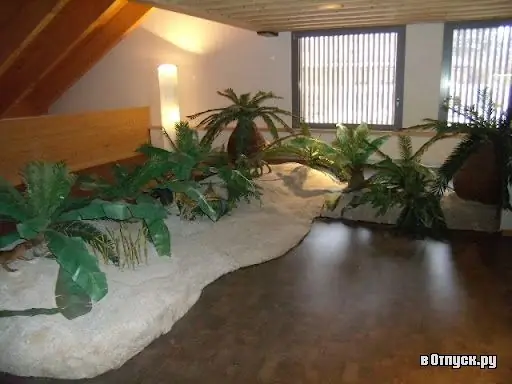 Image Image