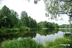 Image Image