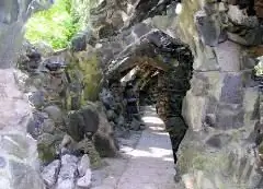 Image Image