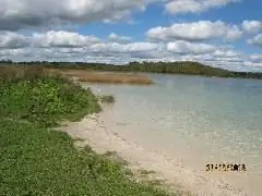 Image Image