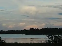 Image Image