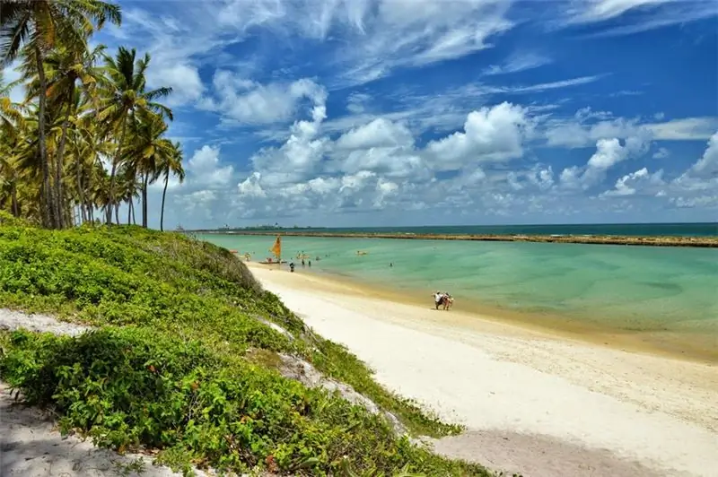 foto: Seas of Brazil