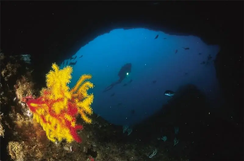 photo: Diving in Spain