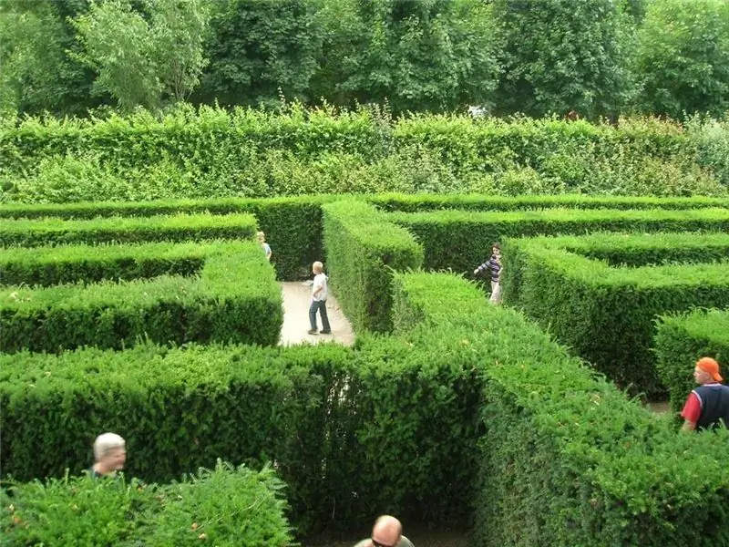Image Image