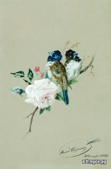 Image Image