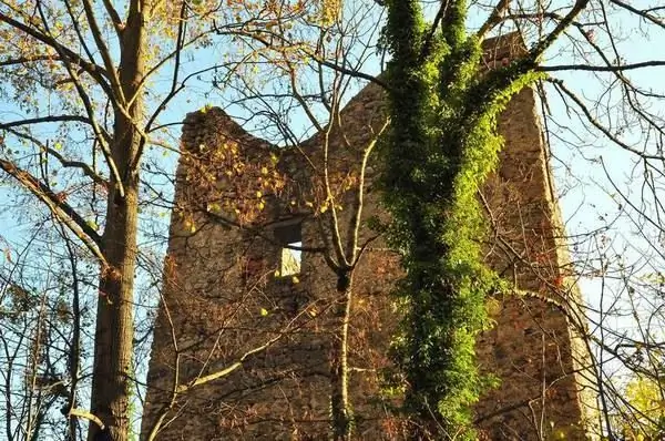 Ruines du château de Fedeun