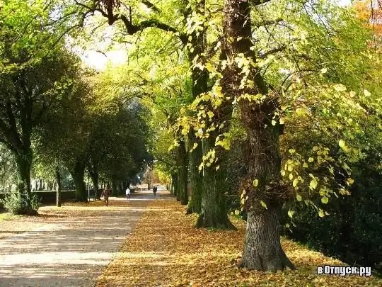 Lucca Botanical Garden