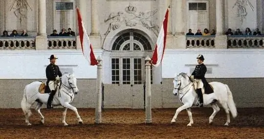 Museo del cavallo lipizzano