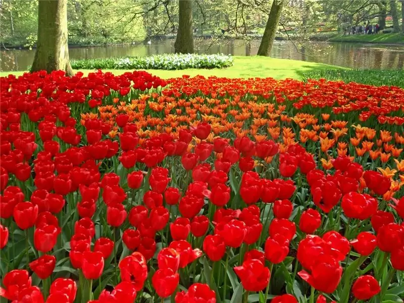 What to see in Holland? What to see in Holland?