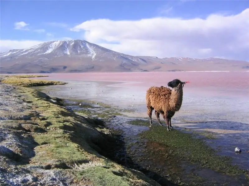 foto: Kenmerken van Bolivia