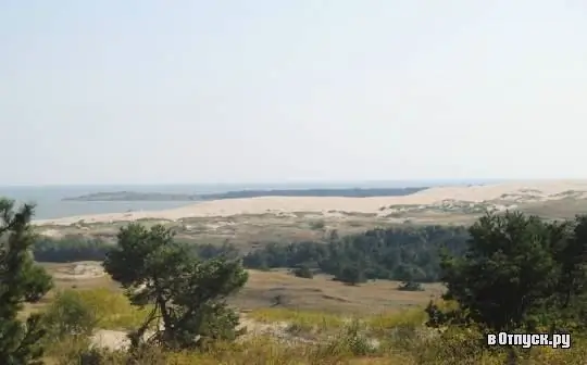 Voëltrek op die Curonian Spit