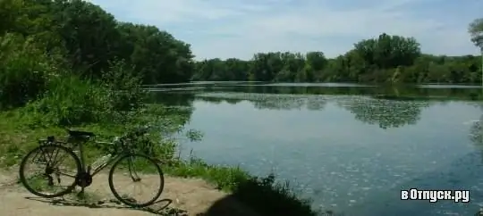 Nature reserve "Oasi di Alviano"