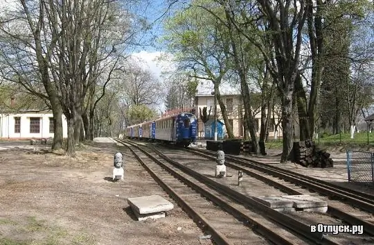 Image Image