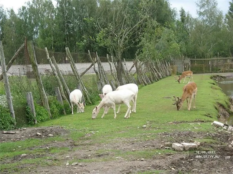 kuva: Klaipedan eläintarha