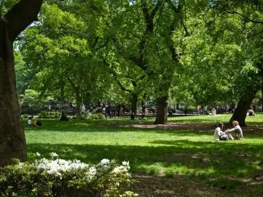 Parc de la place Tompkins