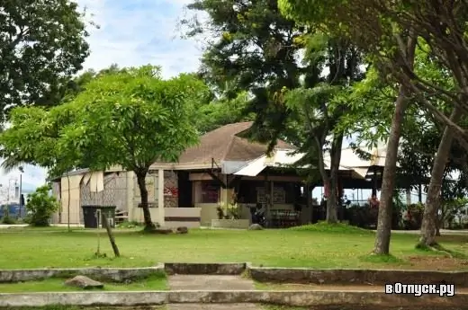 Image Image