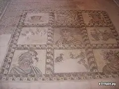 Image Image