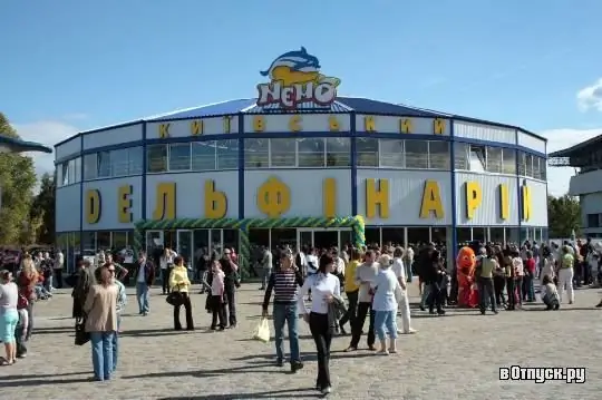 Dolphinarium