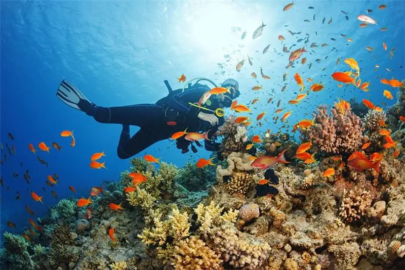 foto: Tours de buceo en Egipto