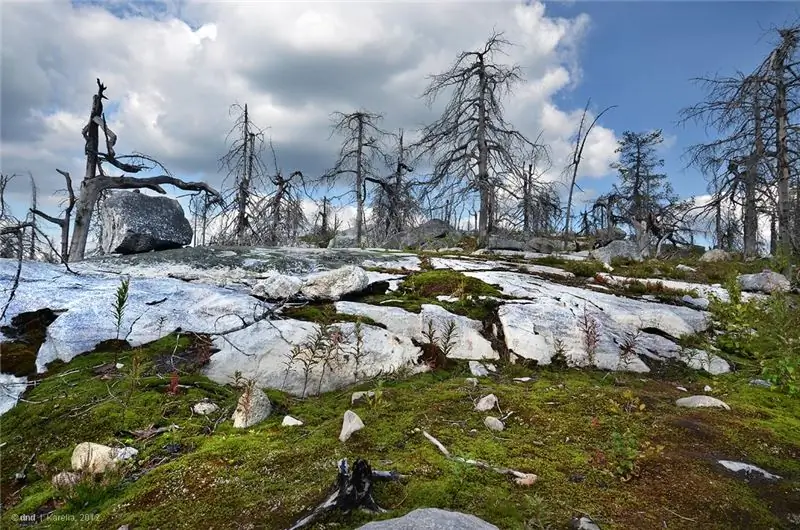 What to see in Karelia What to see in Karelia