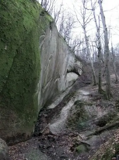 Ռոք Հայելի