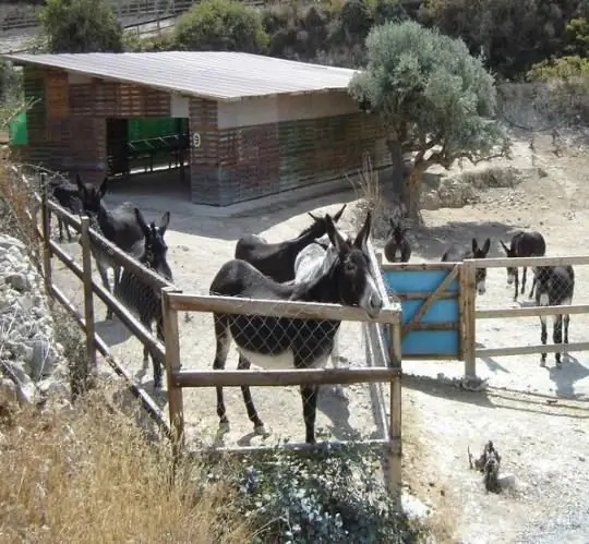 Parco "Amici degli asini ciprioti"