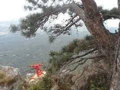 Image Image