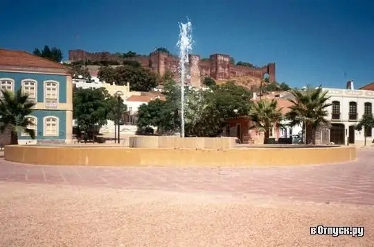 Image Image