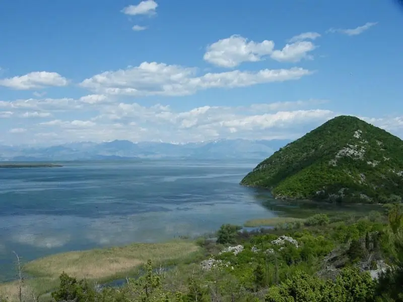 Skadar lake